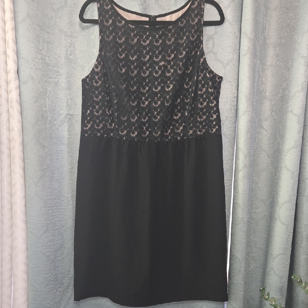 LOFT Black and Cream Lace Mini Dress
